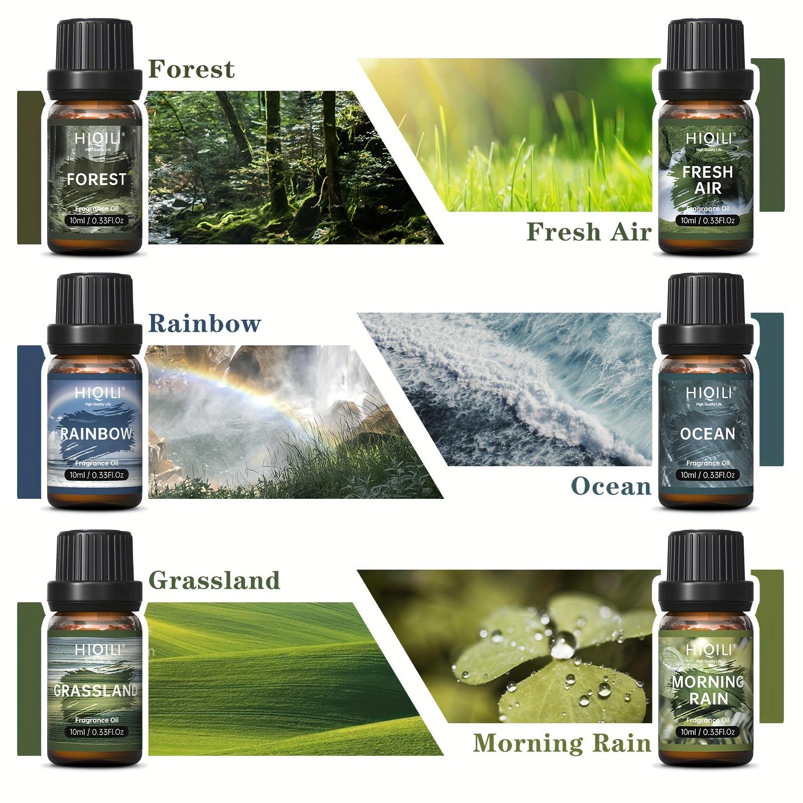 6-piece Aromatherapy Set: Relax With 0.33 Oz Natural Oils For Diffusers, Humidifiers & More